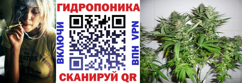 Бошки Шишки индика  маркетплейс клад  Кириши  цена  